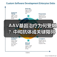 AAV基因治疗为何受限？中和抗体成关键障碍（图1）