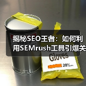 揭秘SEO王者：如何利用SEMrush工具引爆关键词排名（图3）