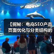 【揭秘：电商SEO产品页面优化与分类结构的秘密】（图1）