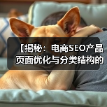 【揭秘：电商SEO产品页面优化与分类结构的秘密】（图3）
