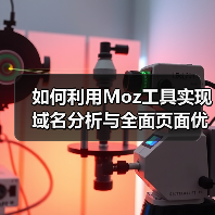 如何利用Moz工具实现域名分析与全面页面优化技巧（图2）