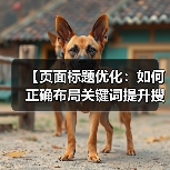 【页面标题优化：如何正确布局关键词提升搜索排名】（图2）