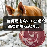 如何用电商SEO实现产品页面爆发式增长（图1）
