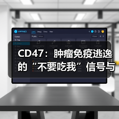 CD47：肿瘤免疫逃逸的“不要吃我”信号与治疗突破（图2）