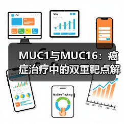 MUC1与MUC16：癌症治疗中的双重靶点解析（图3）
