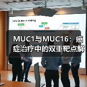 MUC1与MUC16：癌症治疗中的双重靶点解析（图4）