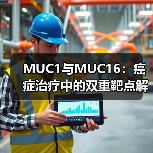MUC1与MUC16：癌症治疗中的双重靶点解析（图1）