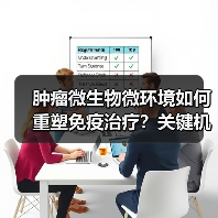 肿瘤微生物微环境如何重塑免疫治疗？关键机制解析（图3）