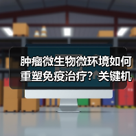 肿瘤微生物微环境如何重塑免疫治疗？关键机制解析（图4）