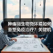 肿瘤微生物微环境如何重塑免疫治疗？关键机制解析（图2）
