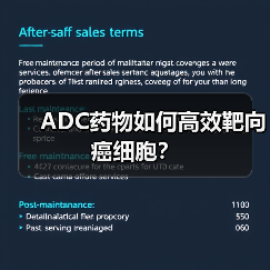 ADC药物如何高效靶向癌细胞？（图4）