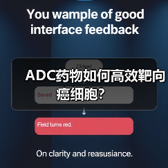 ADC药物如何高效靶向癌细胞？（图2）