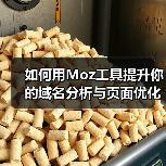 如何用Moz工具提升你的域名分析与页面优化效果(图2) 如何用Moz工具提升你的域名分析与页面优化效果(图2)