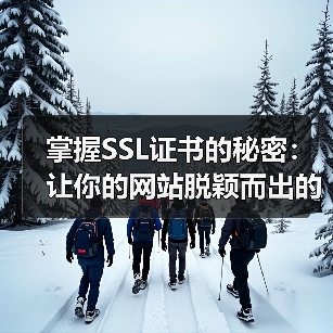 掌握SSL证书的秘密:让你的网站脱颖而出的关键武器(图3) 掌握SSL证书的秘密:让你的网站脱颖而出的关键武器(图3)