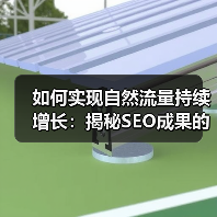 如何实现自然流量持续增长:揭秘SEO成果的秘密(图1) 如何实现自然流量持续增长:揭秘SEO成果的秘密(图1)