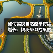如何实现自然流量持续增长:揭秘SEO成果的秘密(图2) 如何实现自然流量持续增长:揭秘SEO成果的秘密(图2)