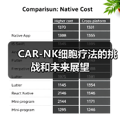 CAR-NK细胞疗法的挑战和未来展望（图4）