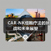 CAR-NK细胞疗法的挑战和未来展望（图2）