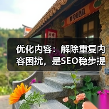 优化内容：解除重复内容困扰，是SEO稳步提升的秘诀（图2）