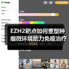EZH2靶点如何重塑肿瘤微环境助力免疫治疗？（图3）
