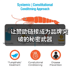 让赞助链接成为品牌突破的秘密武器（图4）