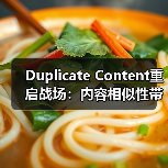 Duplicate Content重启战场:内容相似性带来的收录难题与解决宝典(图4) Duplicate Content重启战场:内容相似性带来的收录难题与解决宝典(图4)