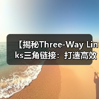 【揭秘Three-Way Links三角链接：打造高效链接网络的秘密武器】（图2）