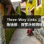 Three-Way Links 三角链接:探索连接网络的隐藏奥秘(图4) Three-Way Links 三角链接:探索连接网络的隐藏奥秘(图4)