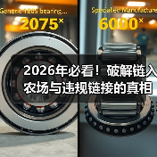 2026年必看!破解链入农场与违规链接的真相(图1) 2026年必看!破解链入农场与违规链接的真相(图1)