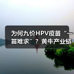 为何九价HPV疫苗“一苗难求”?黄牛产业链背后真相曝光(图2) 为何九价HPV疫苗“一苗难求”?黄牛产业链背后真相曝光(图2)