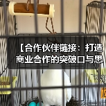 【合作伙伴链接：打造商业合作的突破口与思维革新】（图1）