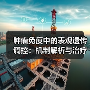 肿瘤免疫中的表观遗传调控:机制解析与治疗潜力(图1) 肿瘤免疫中的表观遗传调控:机制解析与治疗潜力(图1)