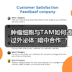肿瘤细胞与TAM如何通过外泌体 肿瘤细胞与TAM如何通过外泌体