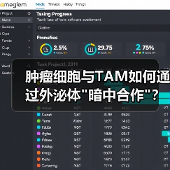肿瘤细胞与TAM如何通过外泌体 肿瘤细胞与TAM如何通过外泌体