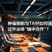 肿瘤细胞与TAM如何通过外泌体 肿瘤细胞与TAM如何通过外泌体