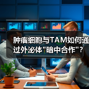 肿瘤细胞与TAM如何通过外泌体 肿瘤细胞与TAM如何通过外泌体