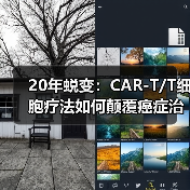 20年蜕变:CAR-T/T细胞疗法如何颠覆癌症治疗(图2) 20年蜕变:CAR-T/T细胞疗法如何颠覆癌症治疗(图2)
