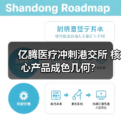 亿腾医疗冲刺港交所 核心产品成色几何?(图2) 亿腾医疗冲刺港交所 核心产品成色几何?(图2)