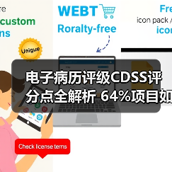 电子病历评级CDSS评分点全解析 64%项目如何助力达标（图2）