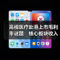 高视医疗赴港上市毛利率谜题：核心板块收入仅超500万（图3）