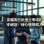 高视医疗赴港上市毛利率谜题：核心板块收入仅超500万（图2）