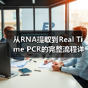 从RNA提取到Real Time PCR的完整流程详解(图3) 从RNA提取到Real Time PCR的完整流程详解(图3)