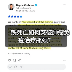 铁死亡如何突破肿瘤免疫治疗瓶颈?(图1) 铁死亡如何突破肿瘤免疫治疗瓶颈?(图1)