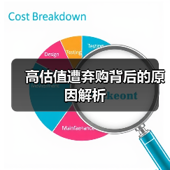 高估值遭弃购背后的原因解析(图2) 高估值遭弃购背后的原因解析(图2)