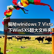 揭秘windows 7 Vista下WinSXS超大文件夹.(图4) 揭秘windows 7 Vista下WinSXS超大文件夹.(图4)