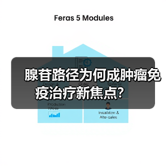腺苷路径为何成肿瘤免疫治疗新焦点?(图4) 腺苷路径为何成肿瘤免疫治疗新焦点?(图4)