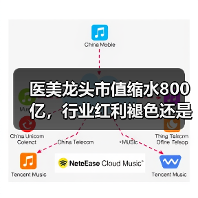 医美龙头市值缩水800亿,行业红利褪色还是持续?(图3) 医美龙头市值缩水800亿,行业红利褪色还是持续?(图3)