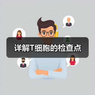 详解T细胞的检查点(图4) 详解T细胞的检查点(图4)