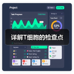 详解T细胞的检查点(图3) 详解T细胞的检查点(图3)