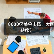 8000亿美金市场，大国缺席？（图3）